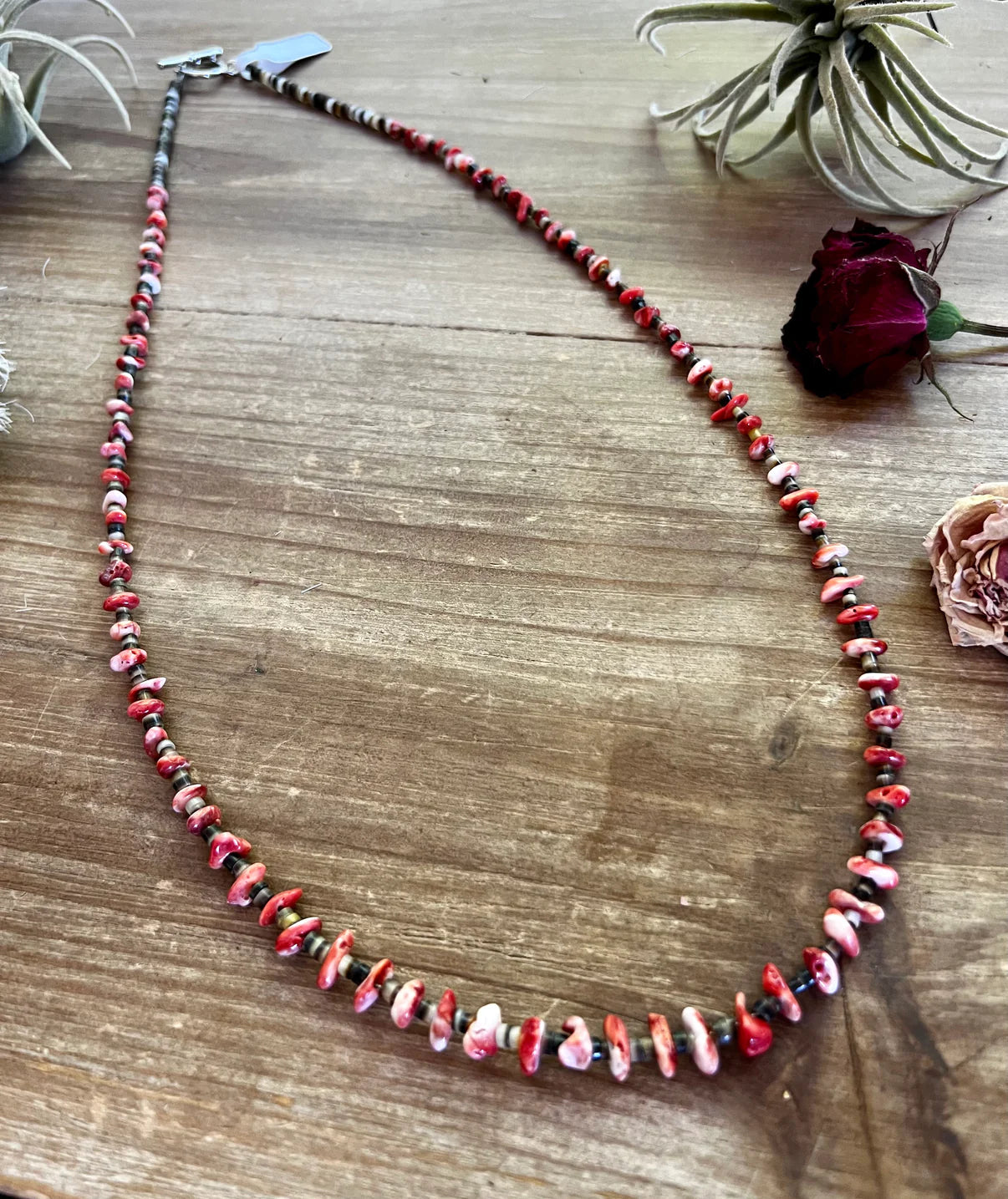 26" Spiny Necklace w/Shell